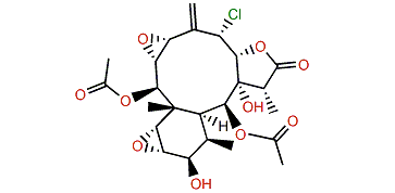 Solenolide C